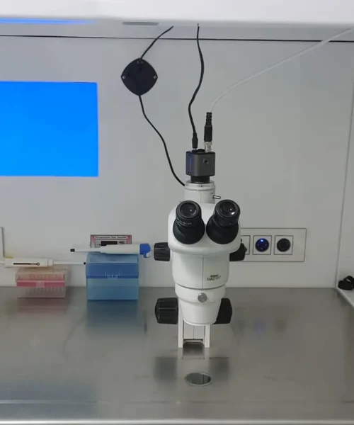 machine 8